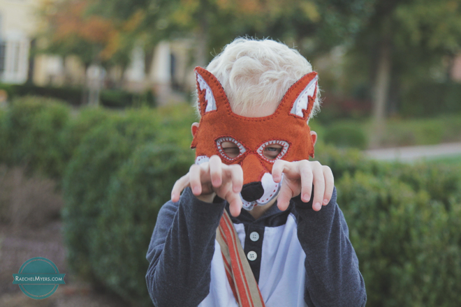 fox mask horizontal