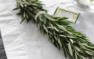 rosemary2